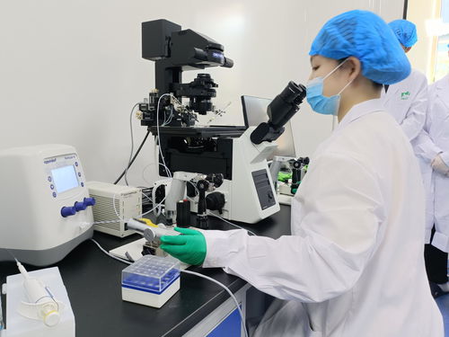 創新驅動引領發展，慶陽科技創新量質齊升——以視力保健儀技術開發為例